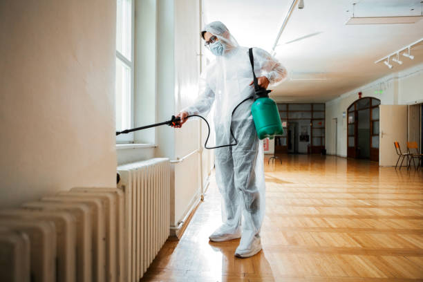 Best Affordable Pest Control Services  in Blue Mountain, MS
